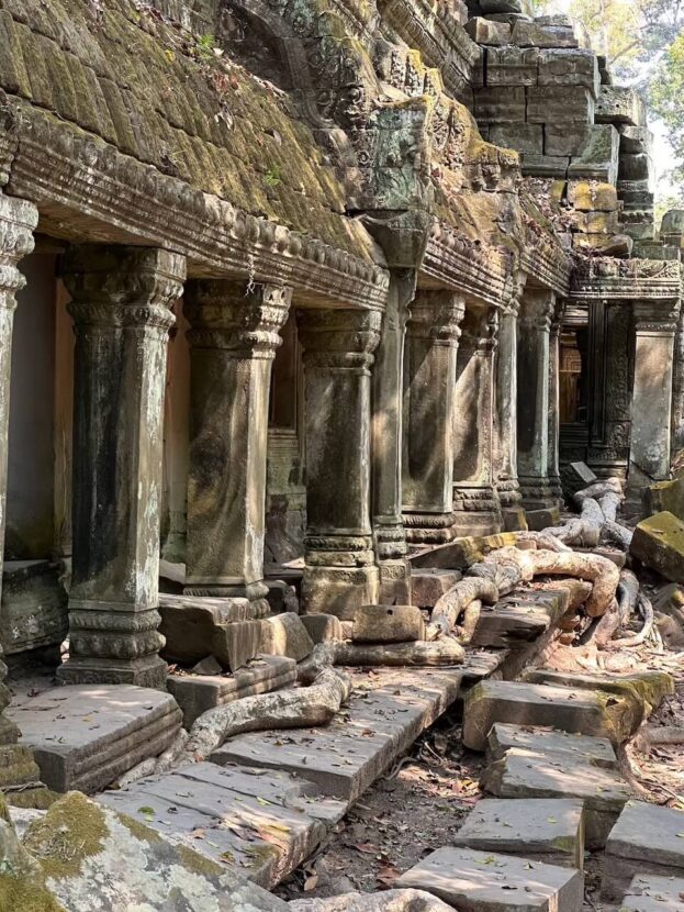 ユネスコの世界遺産であるアンコール遺跡から朝日鑑賞をしてきた。