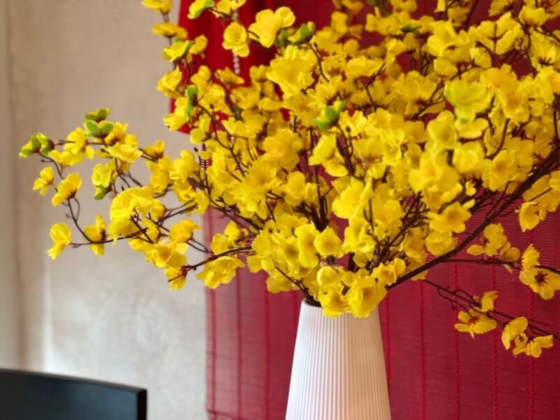 ベトナム旧正月「テト」_黄色い花